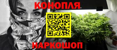 СК Сланцы