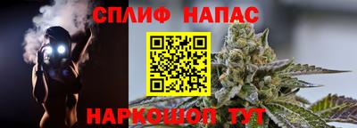 СК Сланцы