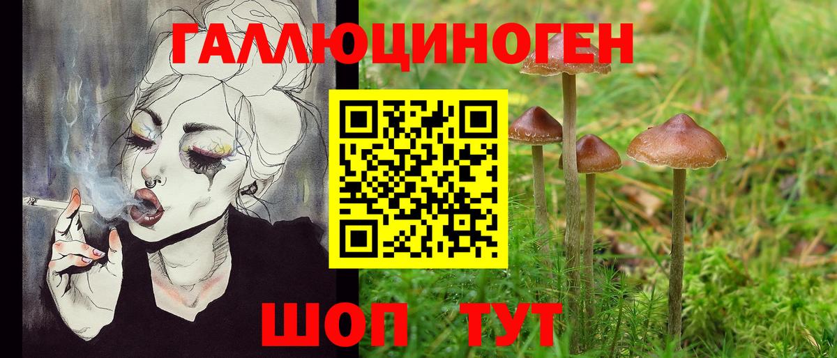 Галлюциногенные грибы GOLDEN TEACHER  Вход с VPN  Асино 
