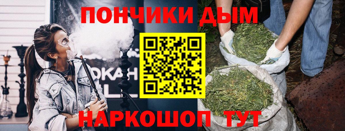 Каннабис гибрид Асино